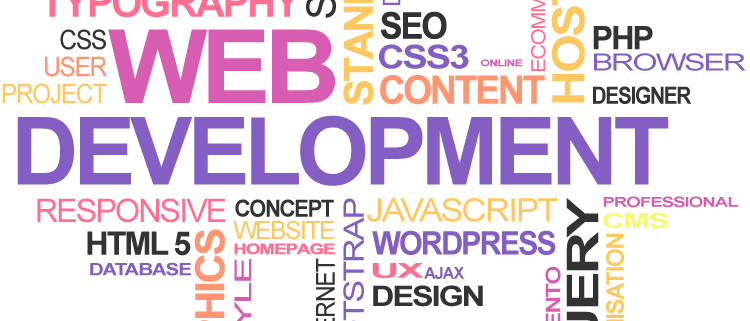Web Design & Development